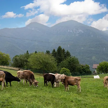 Дом отдыха Mountain Endine- Iseo Milly's